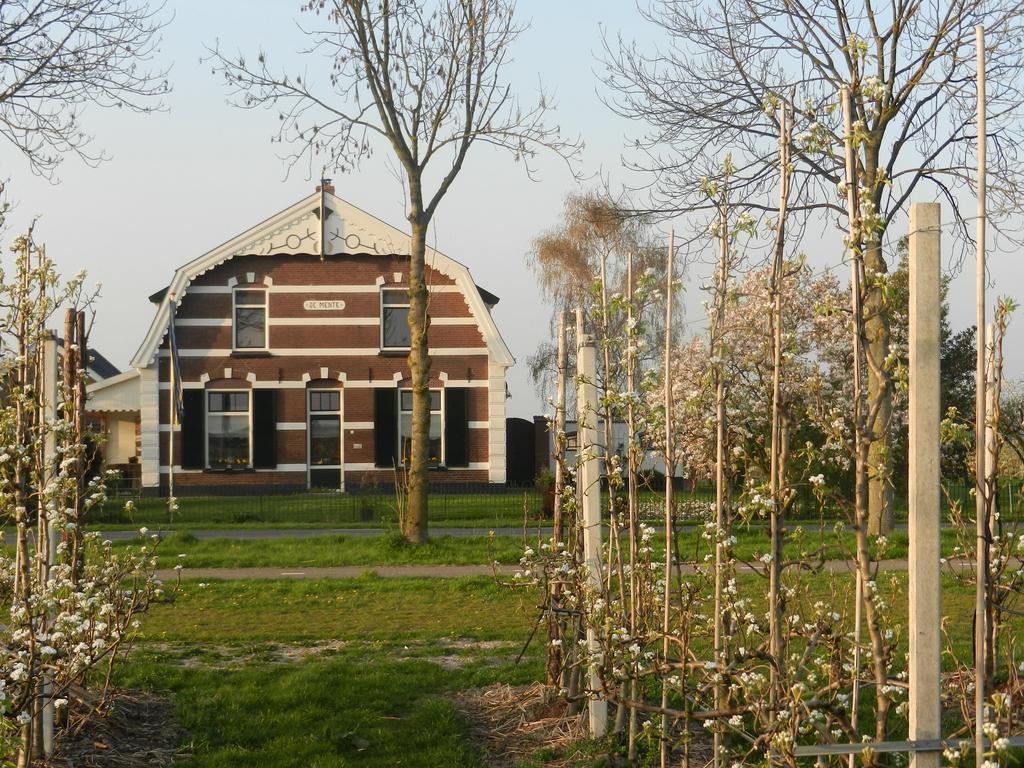 B&B De Bloesemgaard Eck en Wiel ภายนอก รูปภาพ